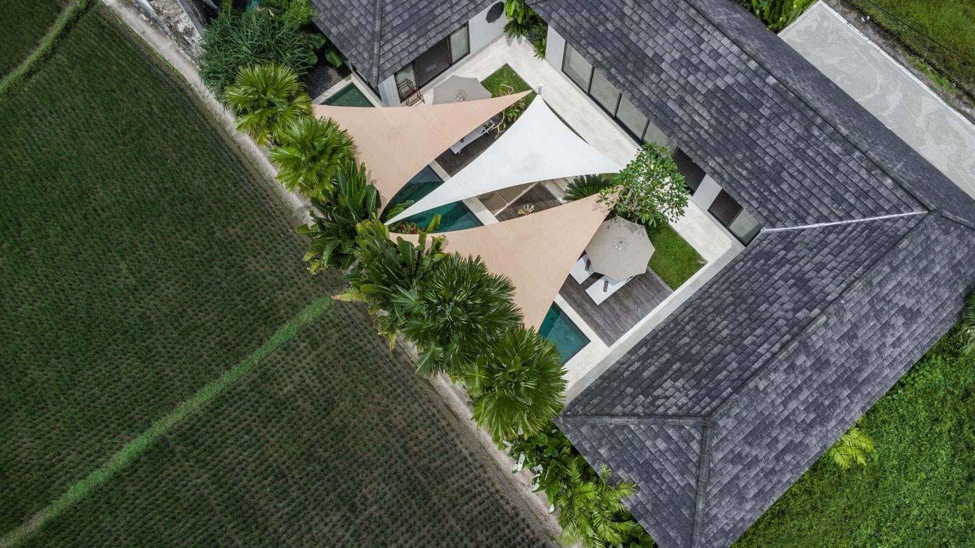 Villa Griya Dedari By Balisuperhost Ubud Eksteriør billede