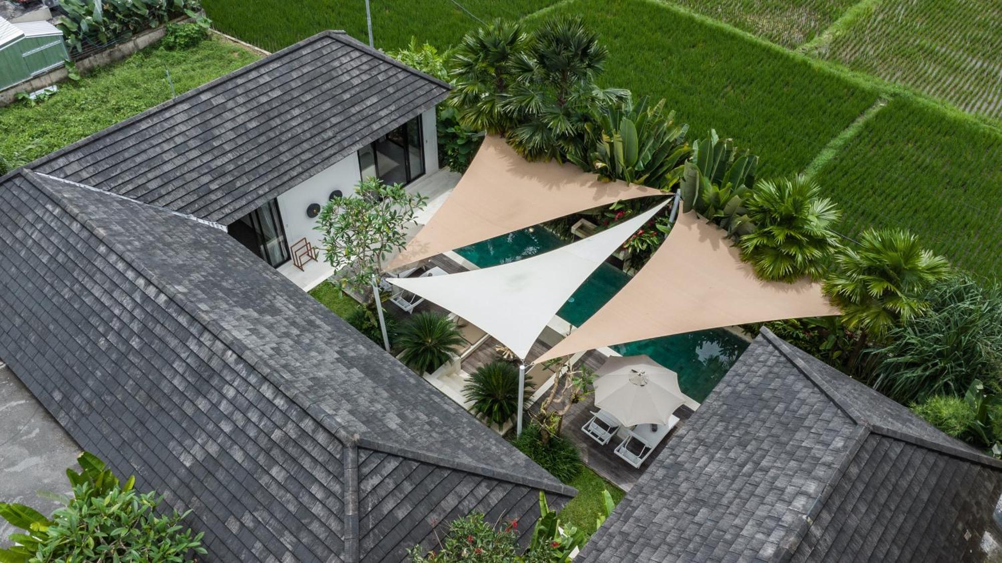 Villa Griya Dedari By Balisuperhost Ubud Eksteriør billede